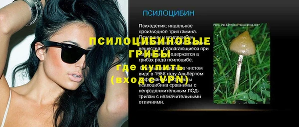 мет Верхний Тагил